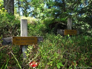 krizky-plsek--havel.jpg
