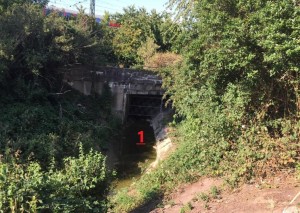 tristan-brubach---jizni-vchod-do-tunelu.jpg